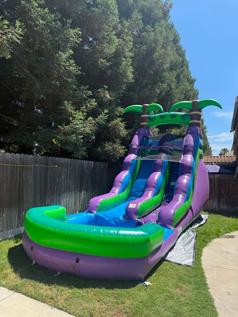 Palm-tree inflatable water slide set up on a sunny backyard lawn.