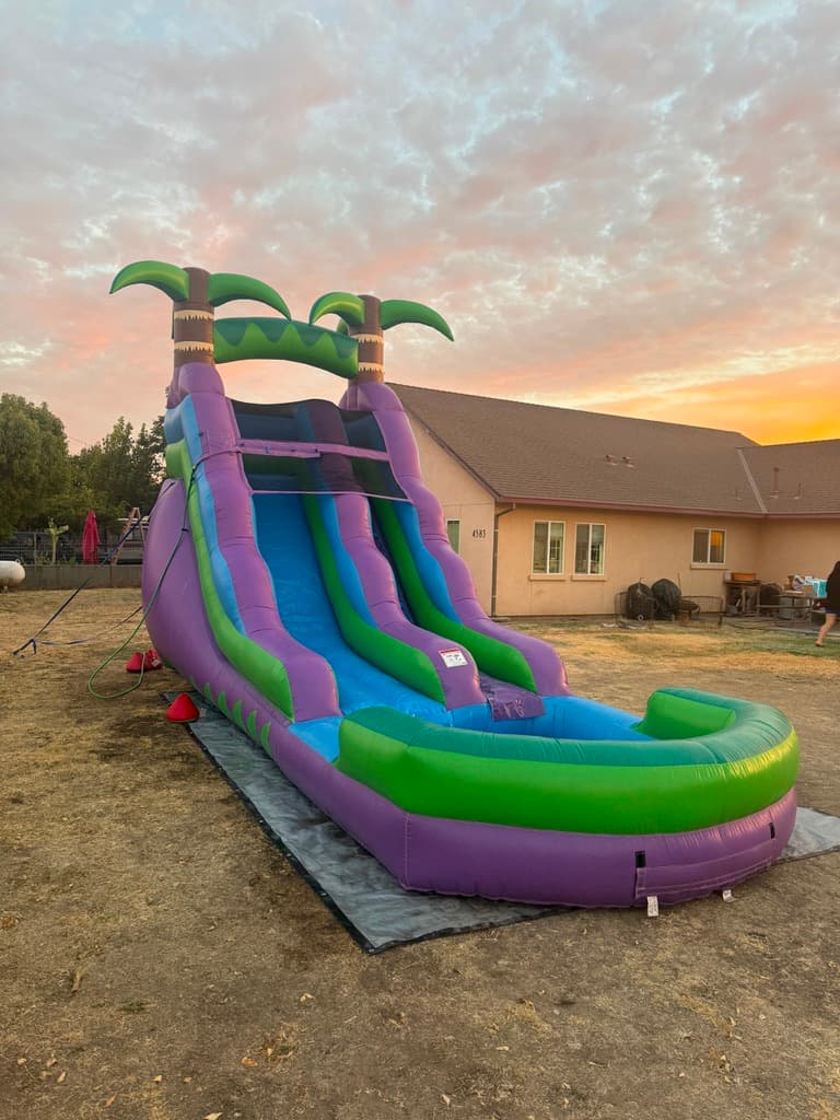 Purple, green, and blue palm-tree inflatable water slide at sunset.