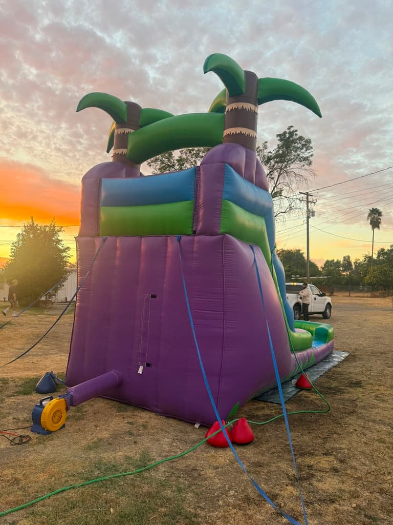 Rear view of a palm-tree inflatable water slide secured on a lawn at sunset.